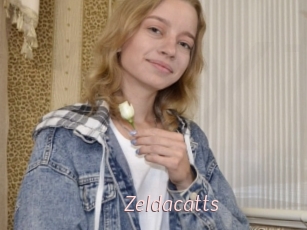 Zeldacatts